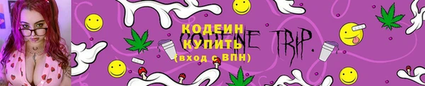 ГАЛЛЮЦИНОГЕННЫЕ ГРИБЫ Богданович