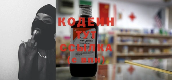 ГАЛЛЮЦИНОГЕННЫЕ ГРИБЫ Богданович