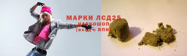 ГАЛЛЮЦИНОГЕННЫЕ ГРИБЫ Богданович