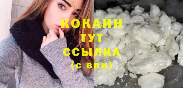 ГАЛЛЮЦИНОГЕННЫЕ ГРИБЫ Богданович