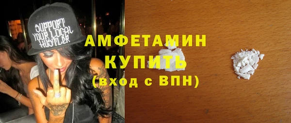 ГАЛЛЮЦИНОГЕННЫЕ ГРИБЫ Богданович