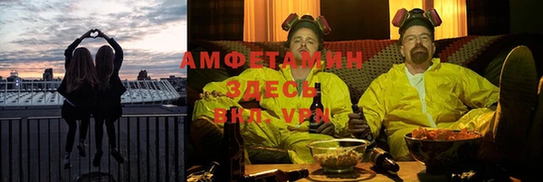 ГАЛЛЮЦИНОГЕННЫЕ ГРИБЫ Богданович